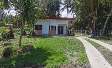 HOUSE AND LOT FOR SALE IN VALENCIA ID 14993