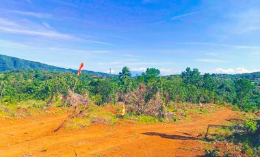 TITLED FARM LOT IN MADILAY DILAY TANAY