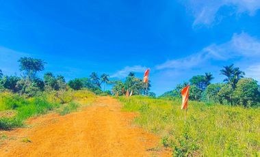 TITLED FARM LOT IN MADILAY DILAY TANAY