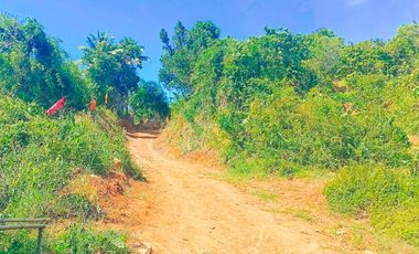 TITLED FARM LOT IN MADILAY DILAY TANAY