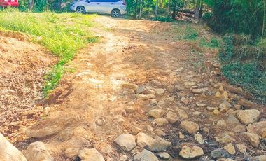 TITLED FARM LOT IN MADILAY DILAY TANAY