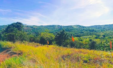 TITLED FARM LOT IN MADILAY DILAY TANAY