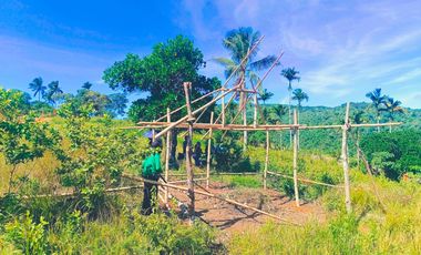 TITLED FARM LOT IN MADILAY DILAY TANAY