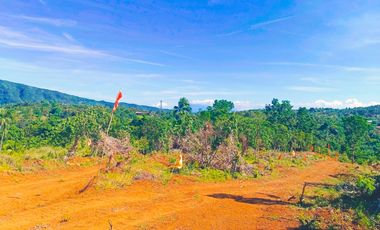 TITLED FARM LOT IN MADILAY DILAY TANAY