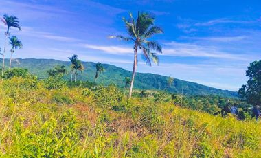 TITLED FARM LOT IN MADILAY DILAY TANAY