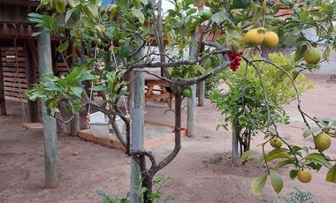CASA Y SITIO PARA CONSTRUIR EN EL QUISCO.