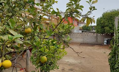 CASA Y SITIO PARA CONSTRUIR EN EL QUISCO.