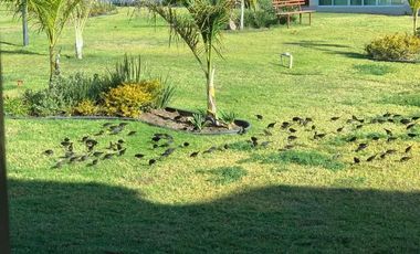 Casa amueblada renta Riberas del Chante Chapala