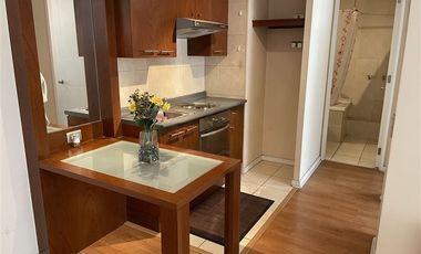 SE VENDE AMPLIO Y LUMINOSO DEPARTAMENTO,DOS DORMITORIOS A DOS CUADRAS METRO SANTA ANA SANTIAGO