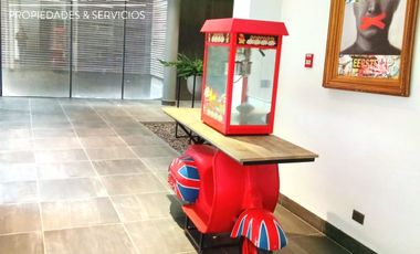 Se Arrienda 2 Ambientes COMPLETAMENTE AMOBLADO en Parque Mackenna, Macul
