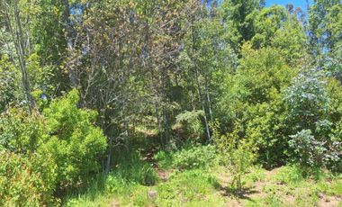 Hermosa Casa en Parcela a 15 minutos de Villarrica