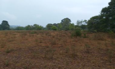 Terreno en Venta Santa Martha de la Cruz Jilotepec, Municipio de Jilotepec