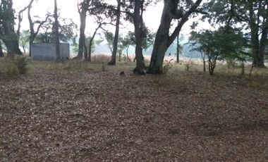 Terreno en Venta Santa Martha de la Cruz Jilotepec, Municipio de Jilotepec