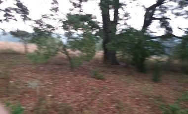 Terreno en Venta Santa Martha de la Cruz Jilotepec, Municipio de Jilotepec