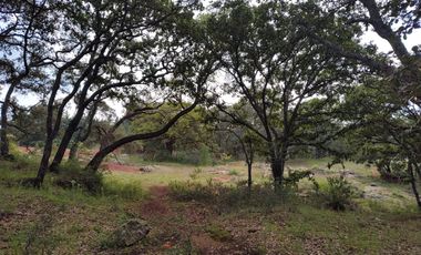 Terreno en Venta Santa Martha de la Cruz Jilotepec, Municipio de Jilotepec
