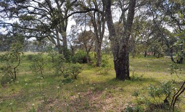 Terreno en Venta Santa Martha de la Cruz Jilotepec, Municipio de Jilotepec
