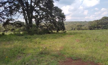 Terreno en Venta Santa Martha de la Cruz Jilotepec, Municipio de Jilotepec