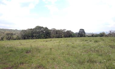 Terreno en Venta Santa Martha de la Cruz Jilotepec, Municipio de Jilotepec