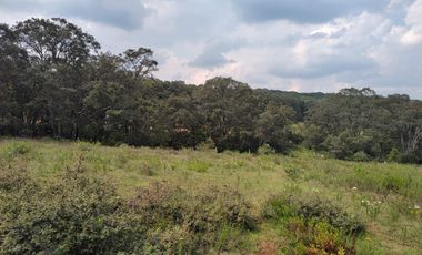 Terreno en Venta Santa Martha de la Cruz Jilotepec, Municipio de Jilotepec