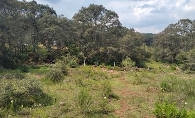 Terreno en Venta Santa Martha de la Cruz Jilotepec, Municipio de Jilotepec