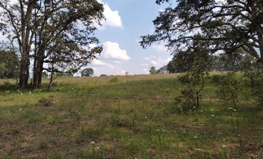 Terreno en Venta Santa Martha de la Cruz Jilotepec, Municipio de Jilotepec