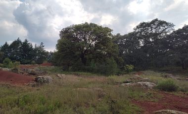 Terreno en Venta Santa Martha de la Cruz Jilotepec, Municipio de Jilotepec