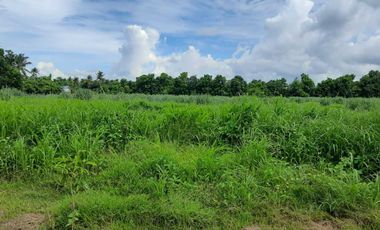 FOR SALE House & Lot located at San Antonio, Quezon