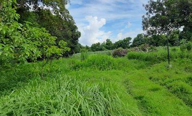 FOR SALE House & Lot located at San Antonio, Quezon