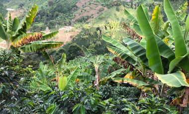 VENTA DE FINCA EN GENOVA MAGNIFICA - TAMBIEN SE PERMUTA