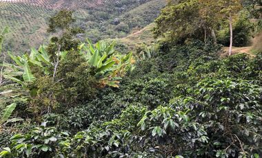 VENTA DE FINCA EN GENOVA MAGNIFICA - TAMBIEN SE PERMUTA