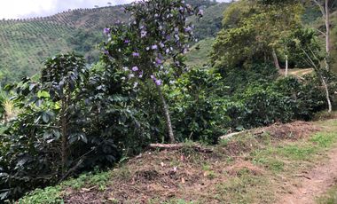 VENTA DE FINCA EN GENOVA MAGNIFICA - TAMBIEN SE PERMUTA