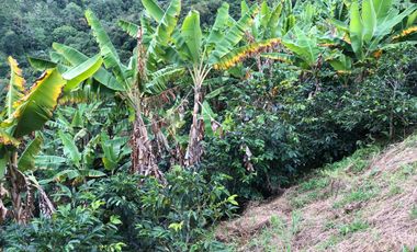VENTA DE FINCA EN GENOVA MAGNIFICA - TAMBIEN SE PERMUTA