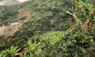 VENTA DE FINCA EN GENOVA MAGNIFICA - TAMBIEN SE PERMUTA