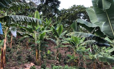 VENTA DE FINCA EN GENOVA MAGNIFICA - TAMBIEN SE PERMUTA