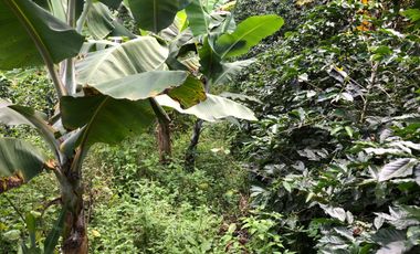 VENTA DE FINCA EN GENOVA MAGNIFICA - TAMBIEN SE PERMUTA