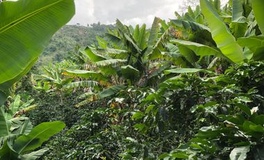VENTA DE FINCA EN GENOVA MAGNIFICA - TAMBIEN SE PERMUTA