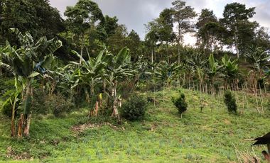 VENTA DE FINCA EN GENOVA MAGNIFICA - TAMBIEN SE PERMUTA