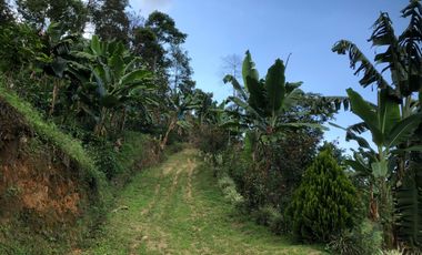 VENTA DE FINCA EN GENOVA MAGNIFICA - TAMBIEN SE PERMUTA