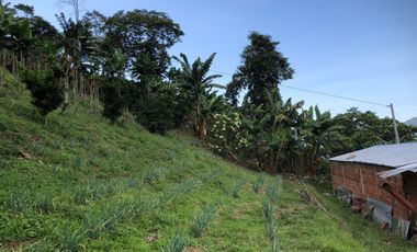 VENTA DE FINCA EN GENOVA MAGNIFICA - TAMBIEN SE PERMUTA