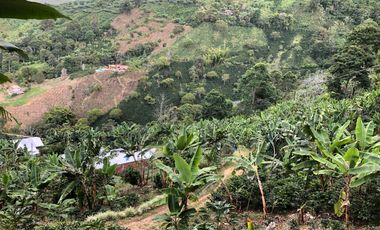 VENTA DE FINCA EN GENOVA MAGNIFICA - TAMBIEN SE PERMUTA