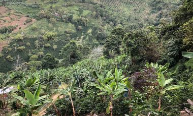 VENTA DE FINCA EN GENOVA MAGNIFICA - TAMBIEN SE PERMUTA
