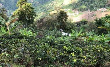 VENTA DE FINCA EN GENOVA MAGNIFICA - TAMBIEN SE PERMUTA
