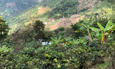VENTA DE FINCA EN GENOVA MAGNIFICA - TAMBIEN SE PERMUTA