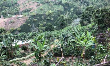 VENTA DE FINCA EN GENOVA MAGNIFICA - TAMBIEN SE PERMUTA