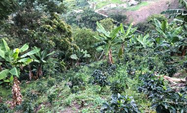 VENTA DE FINCA EN GENOVA MAGNIFICA - TAMBIEN SE PERMUTA