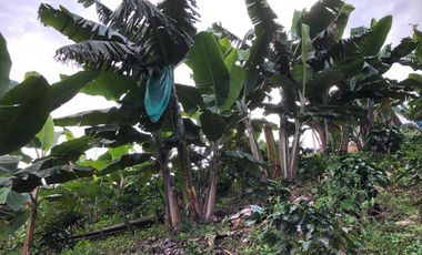 VENTA DE FINCA EN GENOVA MAGNIFICA - TAMBIEN SE PERMUTA
