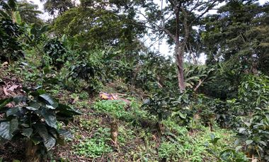 VENTA DE FINCA EN GENOVA MAGNIFICA - TAMBIEN SE PERMUTA