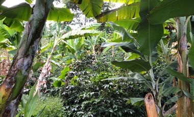 VENTA DE FINCA EN GENOVA MAGNIFICA - TAMBIEN SE PERMUTA