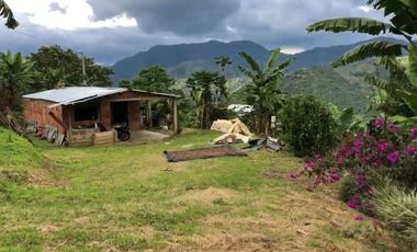 VENTA DE FINCA EN GENOVA MAGNIFICA - TAMBIEN SE PERMUTA