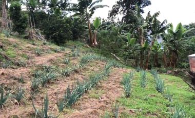 VENTA DE FINCA EN GENOVA MAGNIFICA - TAMBIEN SE PERMUTA